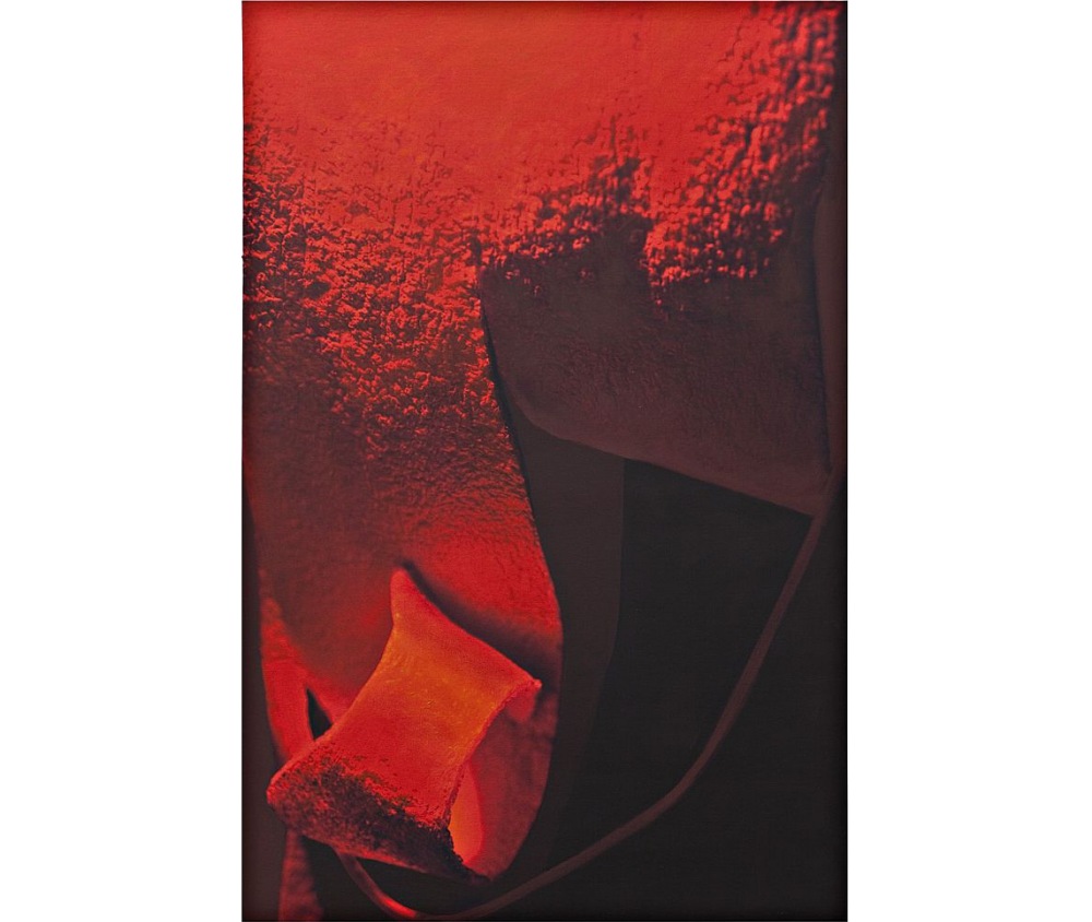 Gersony: Scarlet Dance series  Acrylic on Canvas 1.00 X 70 cm 2013