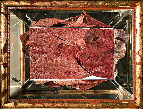 Gersony: Caixa de Madeira, manta de poliespuma e espelho. 0,46x0,59x0,18m - 6 obras - 2007